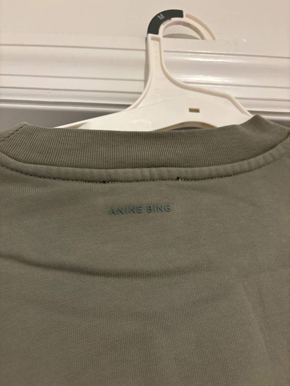 Anine Bing Miles AB Graphic Sweatshirt Sage Green Size Medium Oversized - Picture 11 of 12